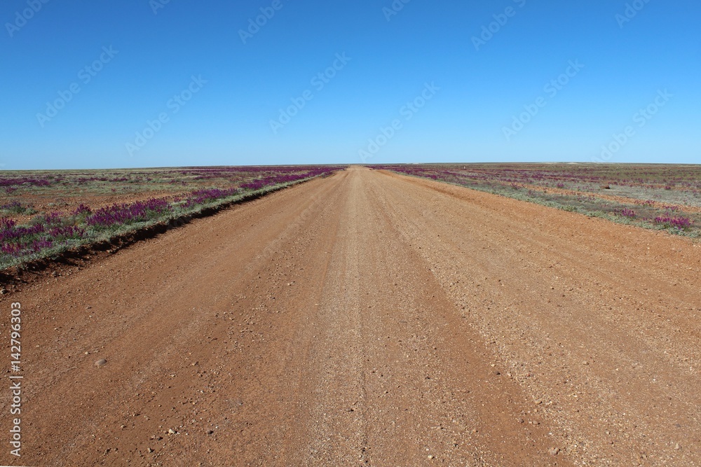 gravel road into nothing of Australia 