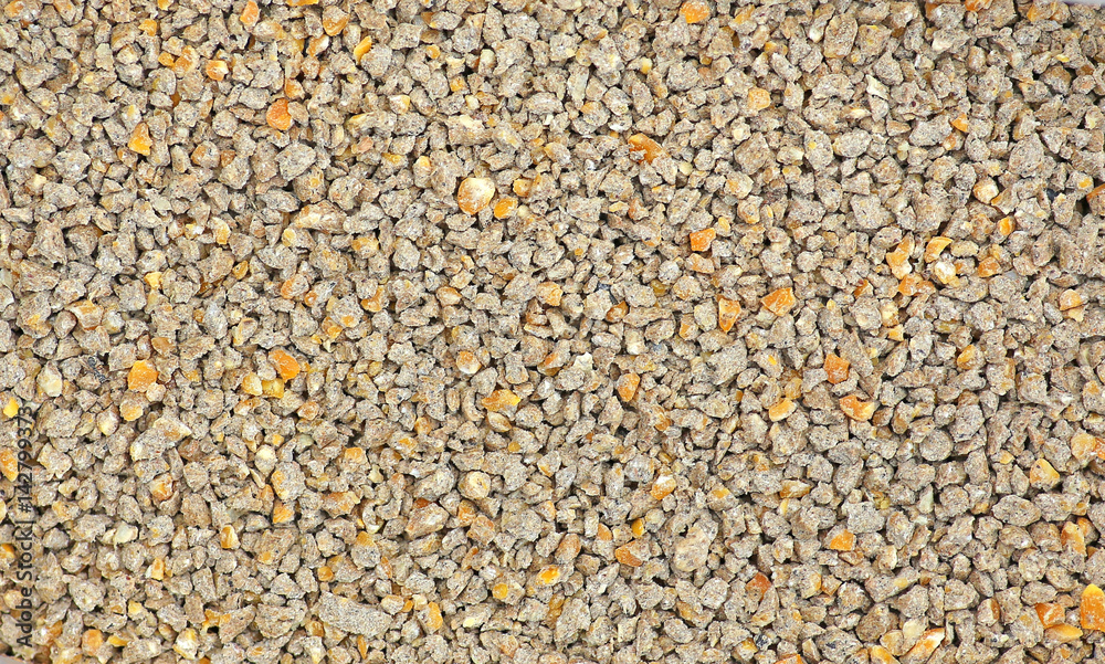 Special corn mix from all organic feed for chickens
