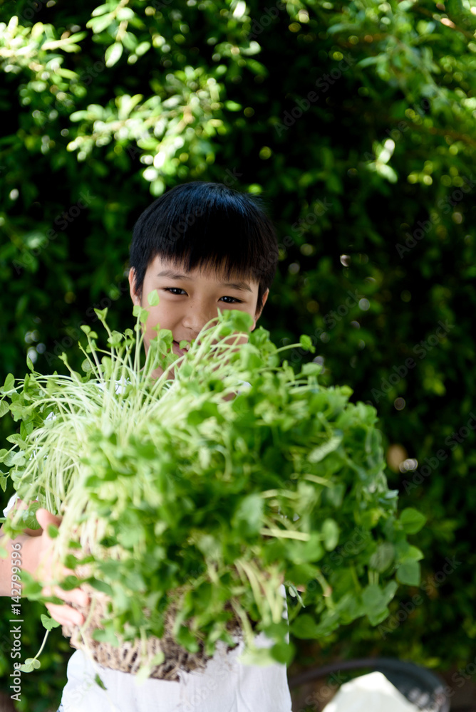 Asian boy interesting at young seedling Asian boy interesting at young seedling