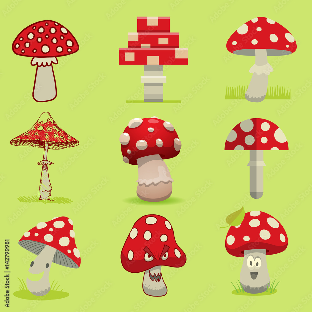 Amanita poisonous mushroom, isolated vector