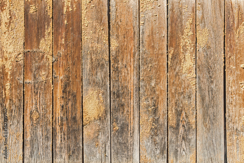 Old brown wooden wall with a shabby paint photo
