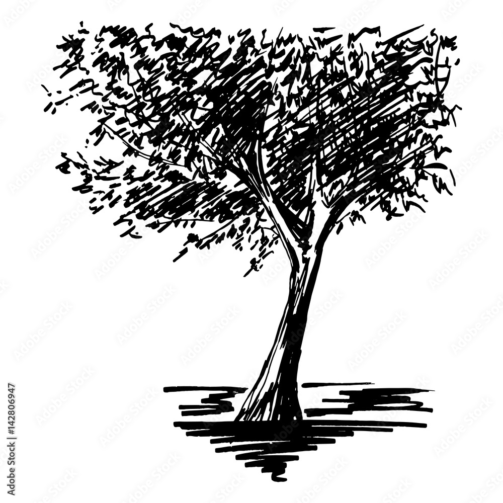 Monochrome tree silhouette sketched line art isolated vector