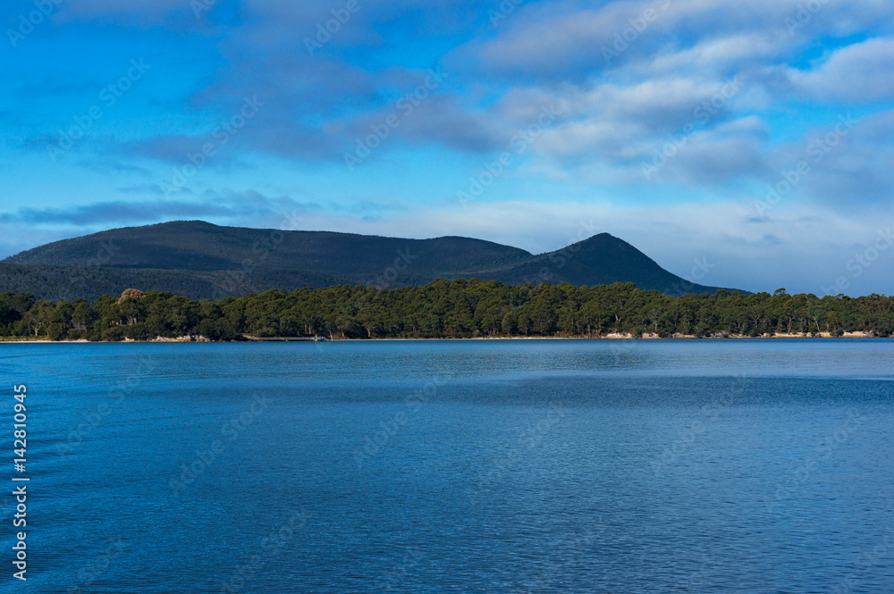 Landscape with forest mountains in the distance