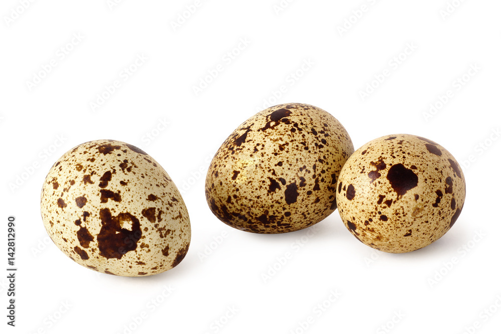 quail eggs isolated on a white background quail eggs isolated on a white background