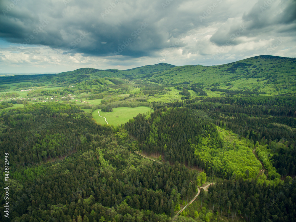 Boreal forest, Czech republic