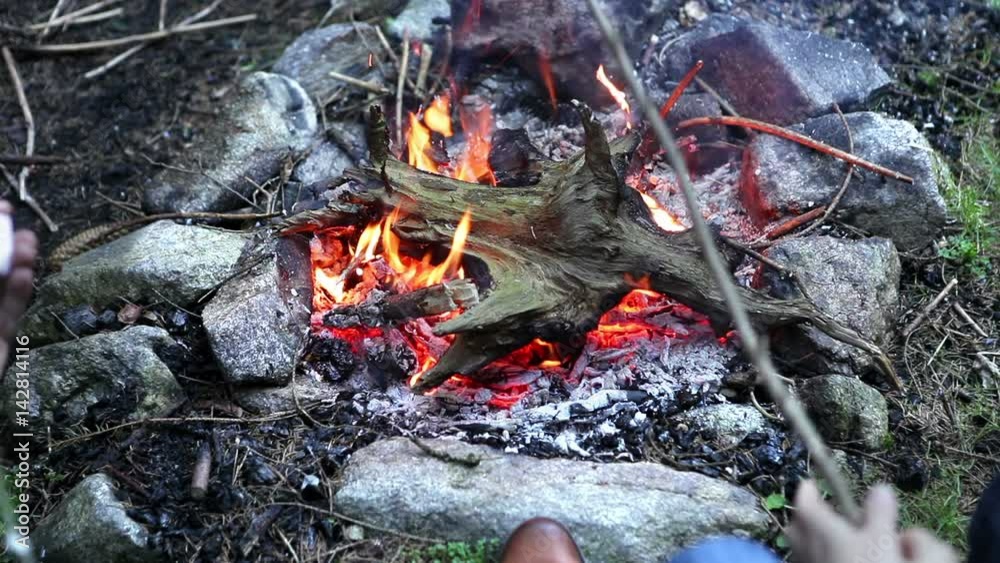Couple roasting the marshmallows on the campfire in the cold forest Couple roasting the marshmallows on the campfire in the cold forest