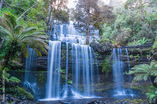 Waterfall in tropical rainforest. Tasmania