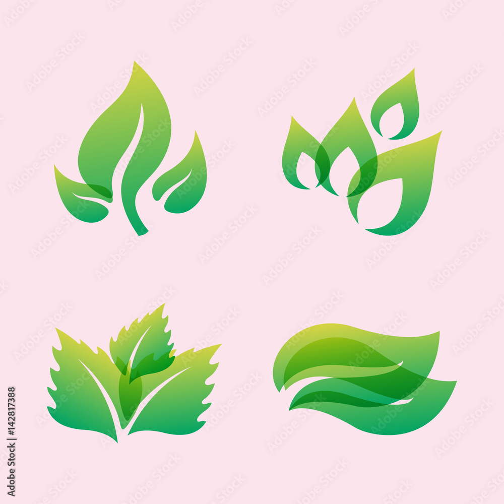 Green leaf eco design friendly nature elegance symbol and natural element ecology organic vector illustration.