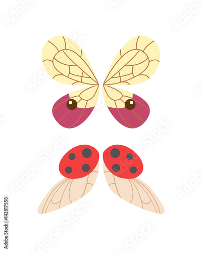 Wings isolated animal feather pinion butterfly freedom flight and natural hawk life peace design flying element eagle winged side shape vector illustration.