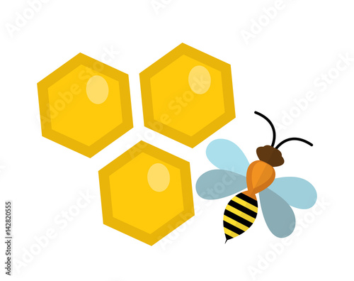 Honeycomb and bee icon, flat style. Isolated on white background. Vector illustration, clip-art