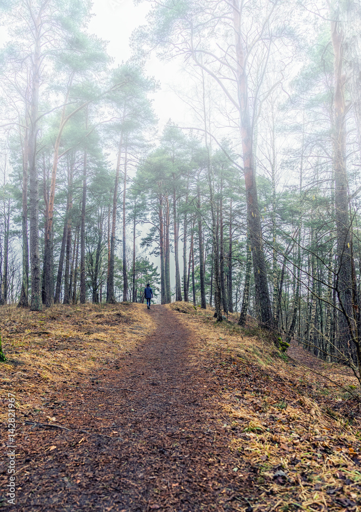A woman in a misty forest A woman in a misty forest