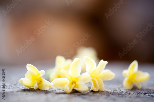 Yellow hyacinth