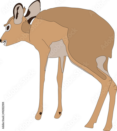 Portrait of a  damara dik dik, standing, hand drawn vector illustration isolated on white background