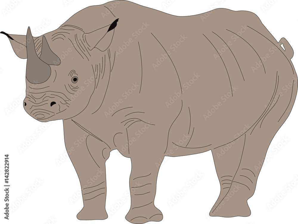 Obraz premium Portrait of a standing rhinoceros, hand drawn vector illustration isolated on white background
