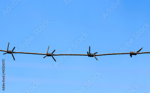 Barbed wire on a blue sky background and a green garden background for freedom © MariaKitsune