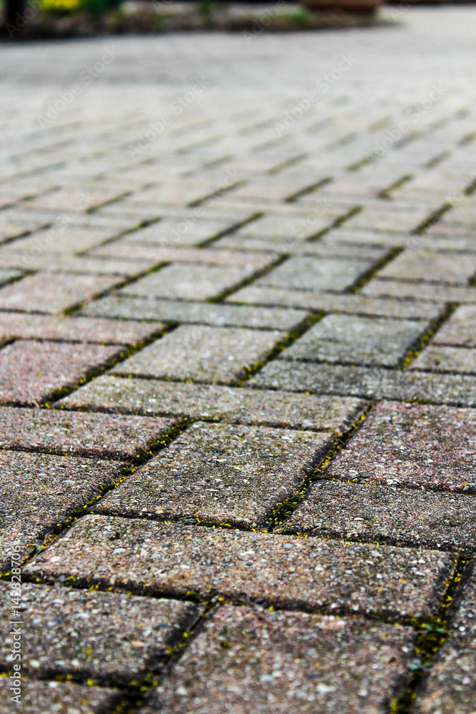 Obraz premium stone path