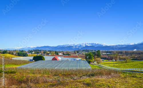 Winter season on fruit farm in a valley. View on a valley with mountains on blue sky background