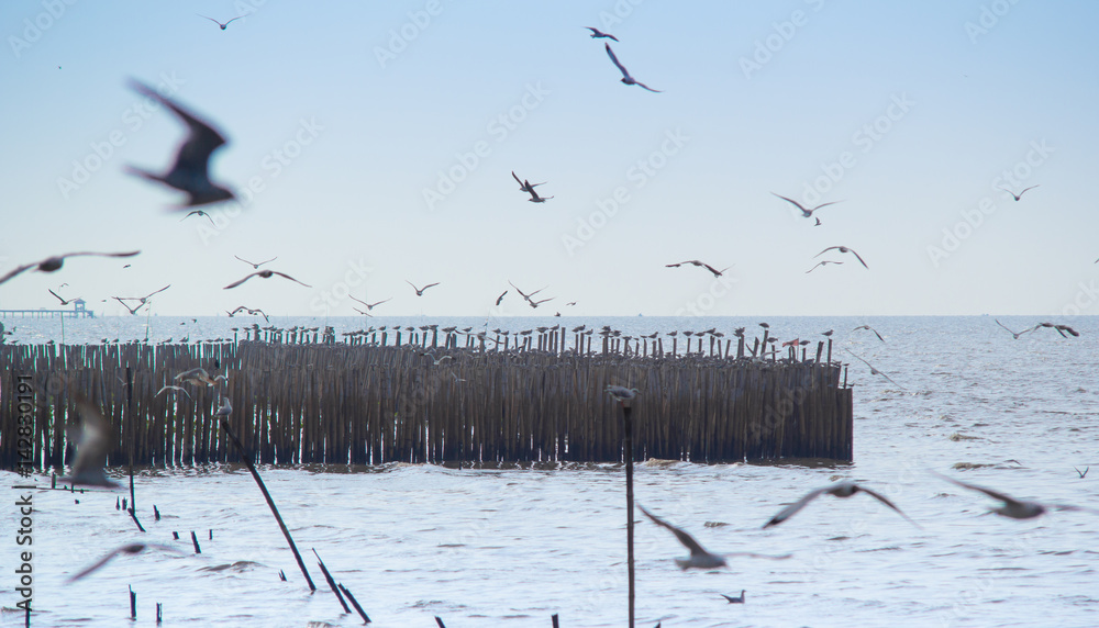 Φωτογραφία bamboo stumps in the sea and birds are flying above the sea