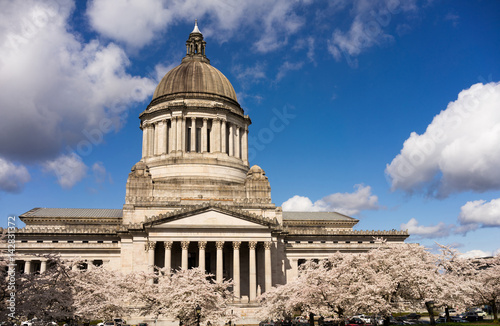 Washington State Capital Building Olympia Springtime Cherry Blossoms Capitol