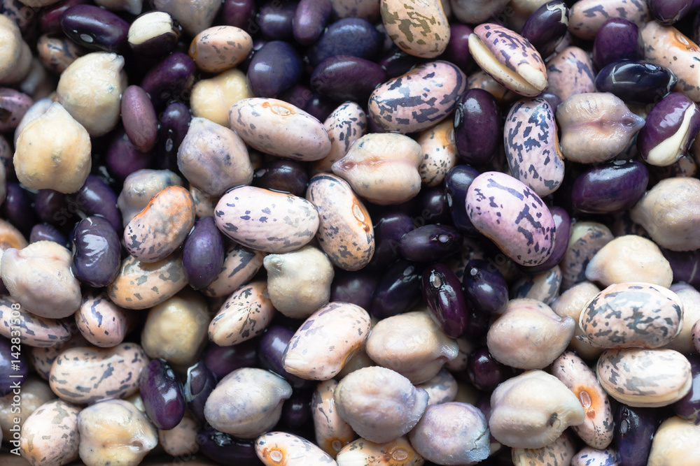 Beans Soaking Whole Food Garbonzo Bean Black Anasazi Beans Soaking Whole Food Garbonzo Bean Black Anasazi