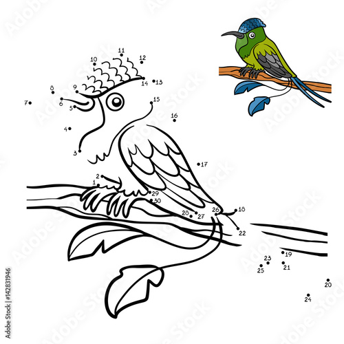 Numbers game, Racket-tail Hummingbird