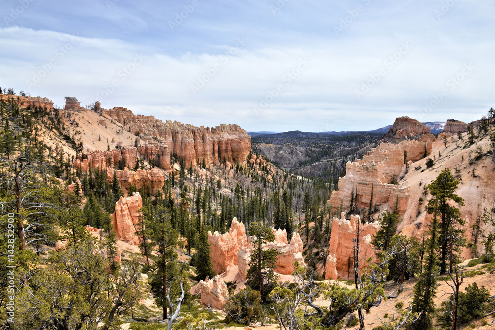 Brice Canyon