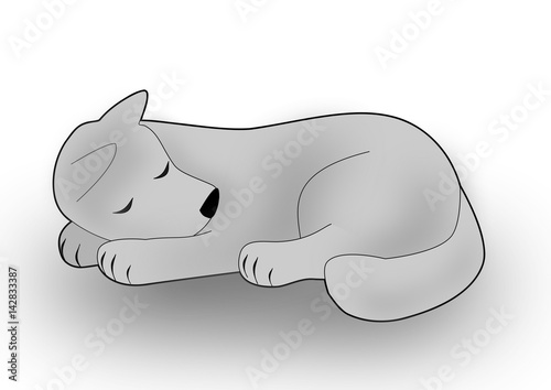 Fototapeta Naklejka Na Ścianę i Meble -  Cute sleeping Dog
