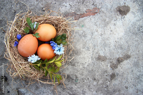 Cuadro en lienzo Easter eggs in the nest. Spring postcard