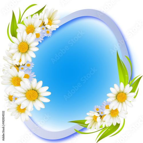 White daisy frame with blue background © Kasana