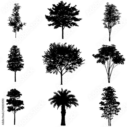 Vector set of tree silhouettes.