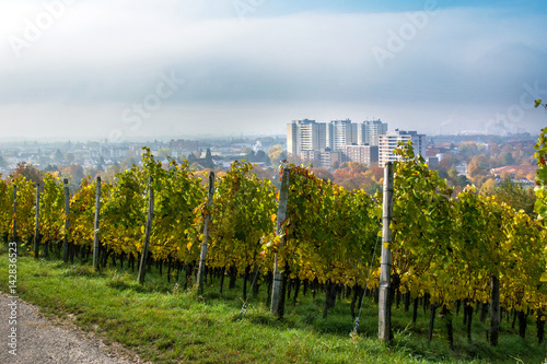 Stadt Weil am Rhein – Herbstimpression mit Weinbergen photo