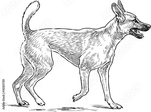 sketch of a dog on a walk