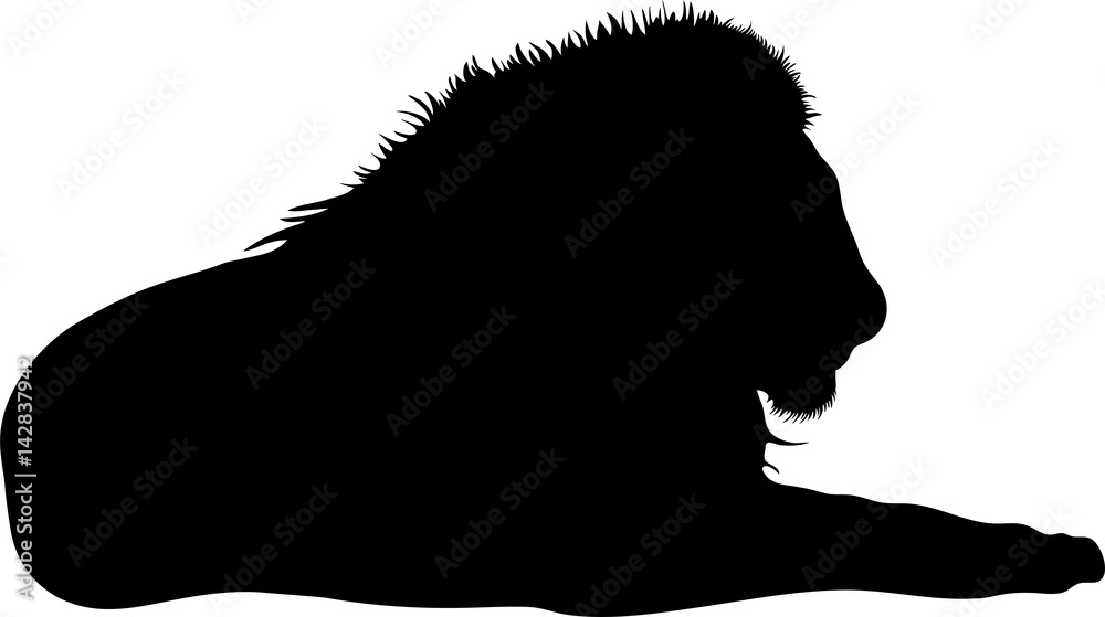 Silhouette of a lion predator, hand drawn vector illustration isolated on white background Silhouette of a lion predator, hand drawn vector illustration isolated on white background