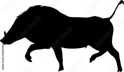 Silhouette of a funny moving standing warthog, hand drawn vector illustration isolated on white background