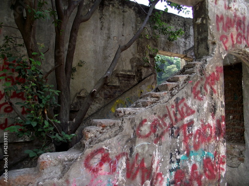 casa abandonada y destruida cubierta por las plantas photo