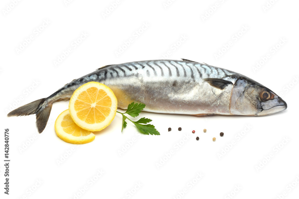 atlantic mackerel fish with lemon isolated on white background atlantic mackerel fish with lemon isolated on white background