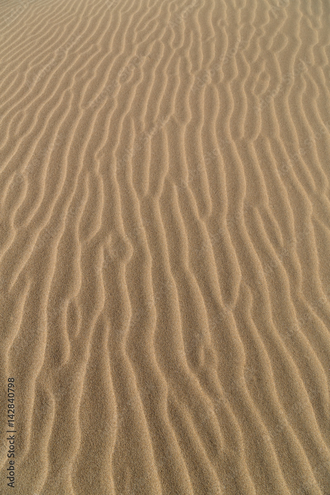 Sand patterns of the sand dune Sand patterns of the sand dune