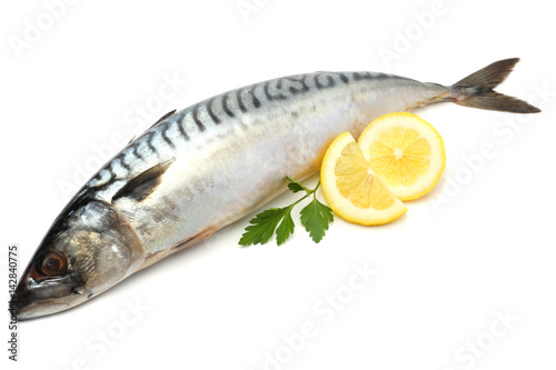 atlantic mackerel fish with lemon isolated on white background