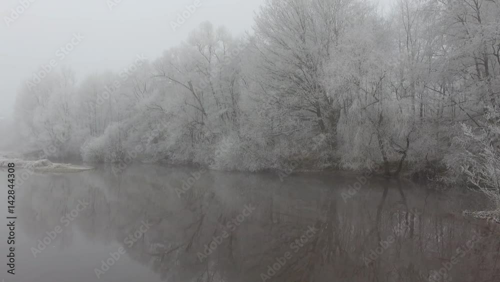 Foggy Misty Icy Lake Forest Foggy Misty Icy Lake Forest