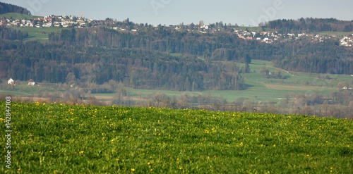 oberland zurichois photo