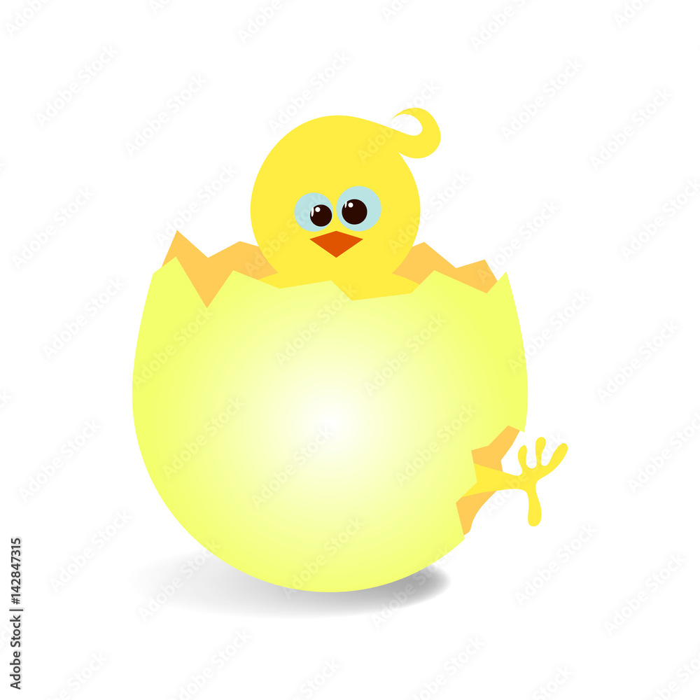 vector illustration of funny newborn chicken in cracked egg