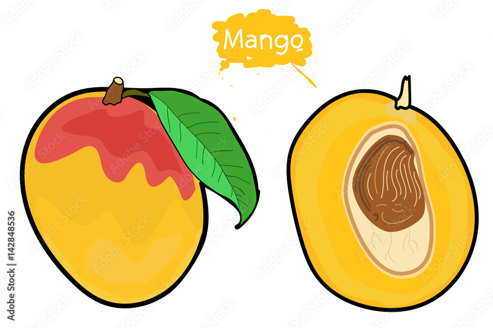 Juicy ripe mango with leaves. mango cut. half a mango . bone mango .the  drawing hands. Stock Vector | Adobe Stock