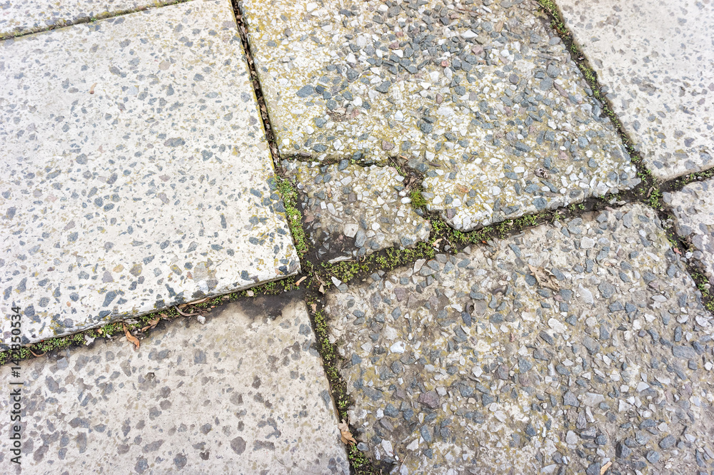 Obraz premium Old paving slab in the park