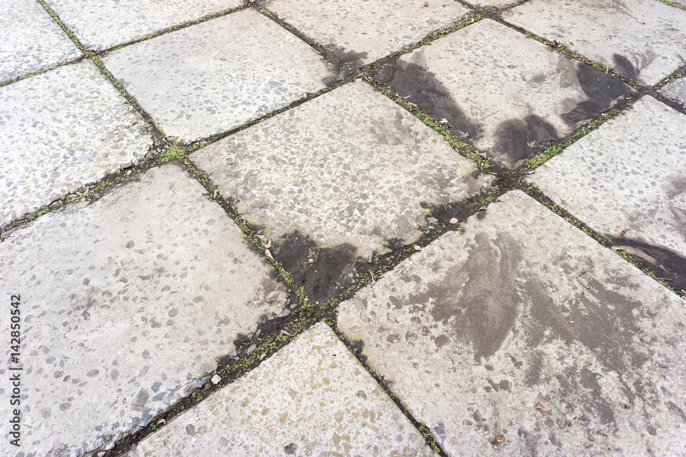 Obraz premium Old paving slab in the park