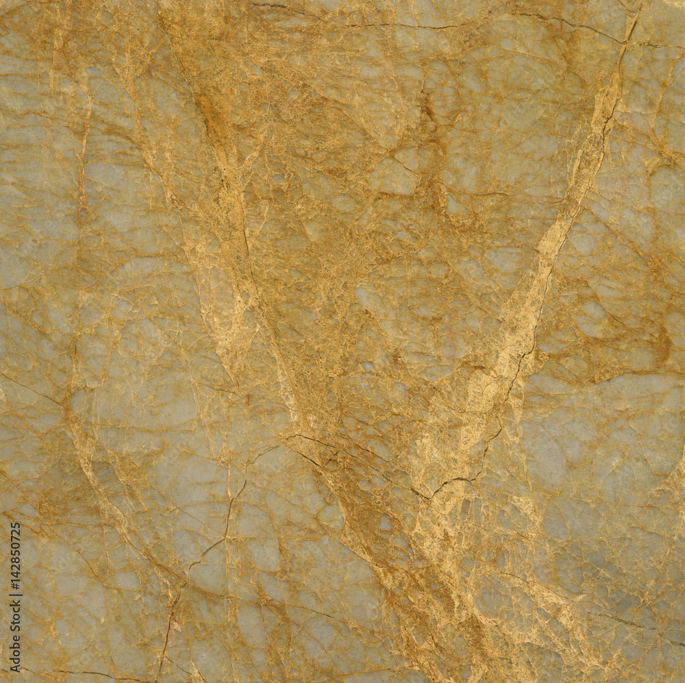 Naklejka premium Gold Vein Marble Stone