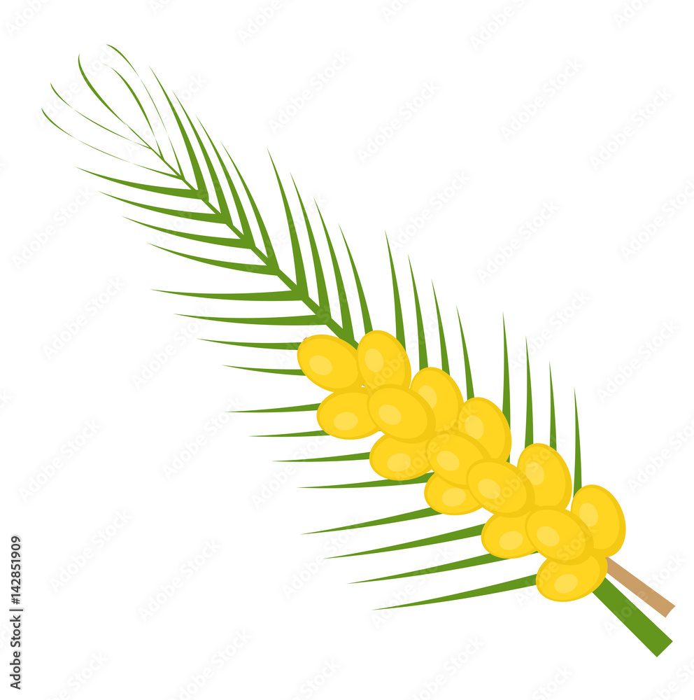 Fresh dates icon flat, cartoon style. Yellow fruit isolated on white