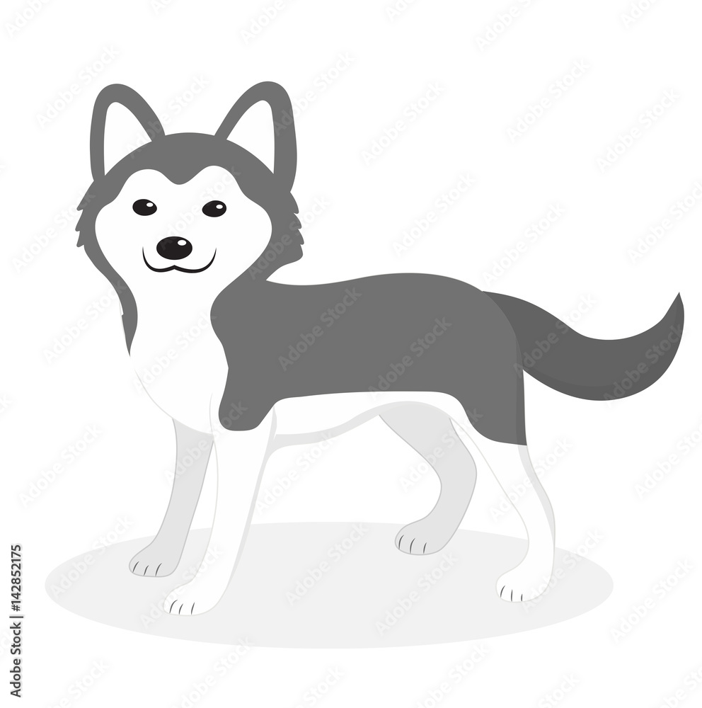 Husky breed dog icon, flat, cartoon style. Cute puppy isolated on white background. Vector illustration, clip-art
