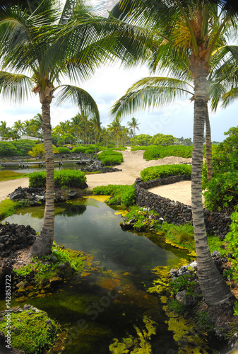 Anchialine Ponds Big Island Hawaii Kuki`o beach Hualalai Resort , tropical feeling, coastal ecology, sustainability