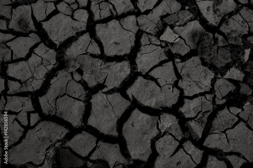 Cracked Mud Texture