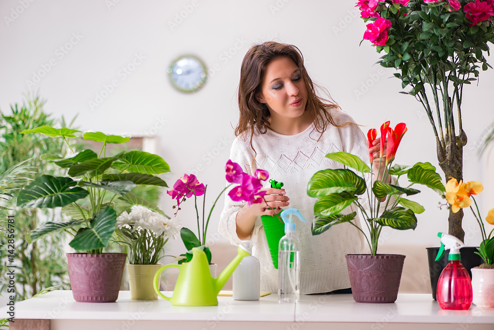 Young woman looking after plants at home Young woman looking after plants at home